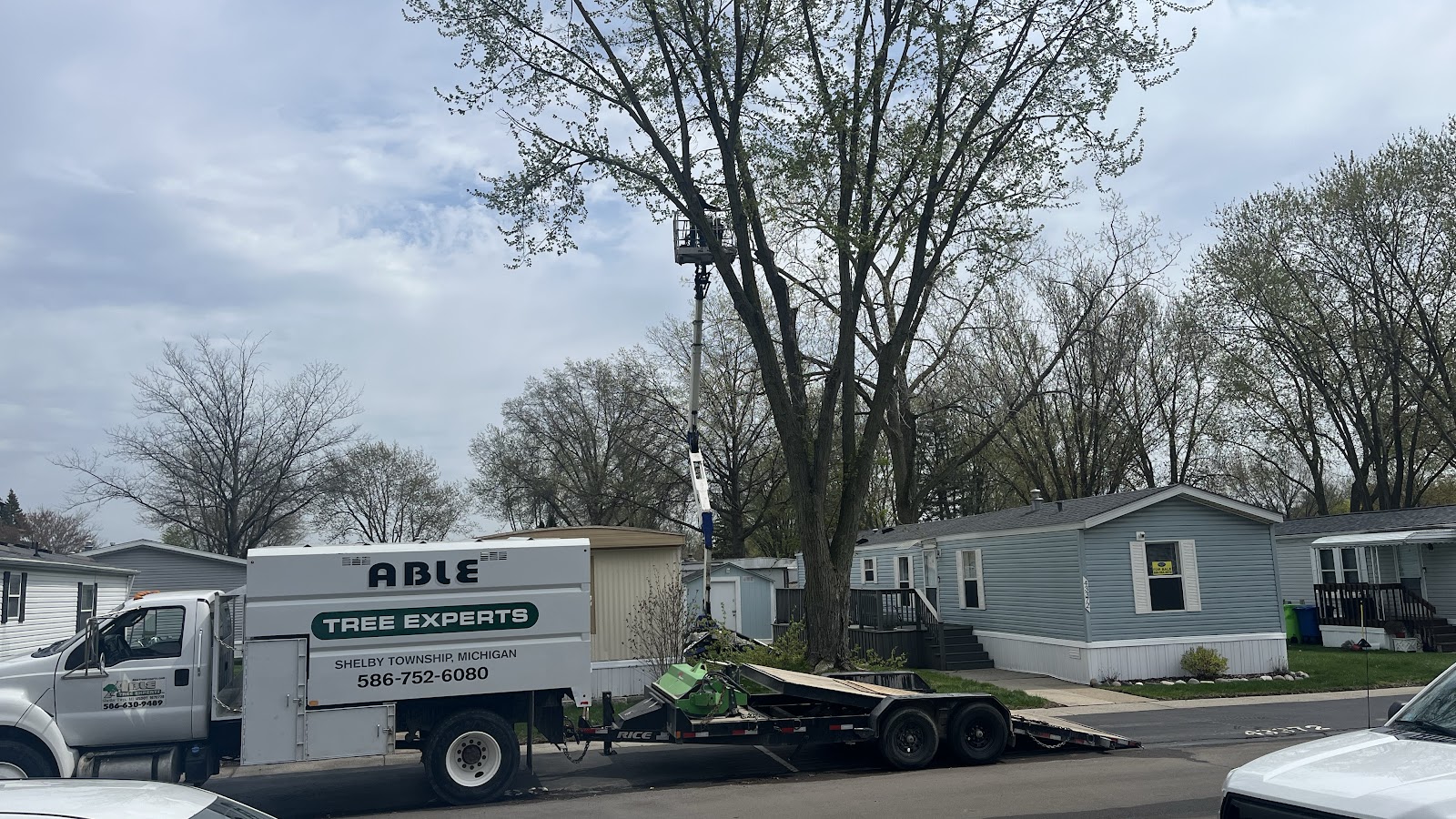 ABLE TREE EXPERTS — photo