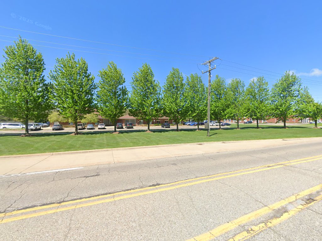 Bassett Krista A DC in Shelby Township