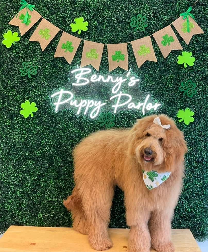 Benny’s Puppy Parlor in Shelby Township