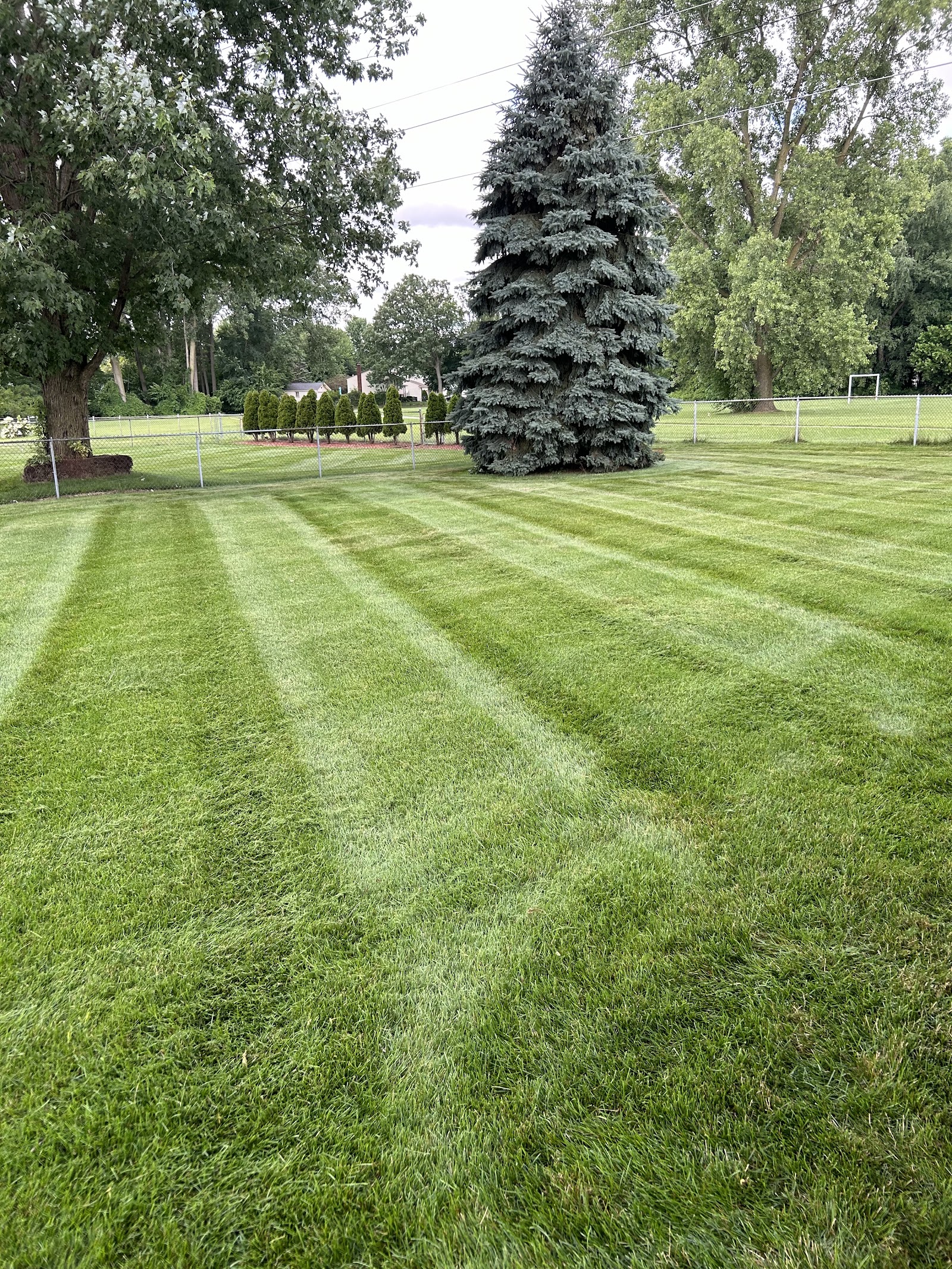 CLP Lawn Care — photo