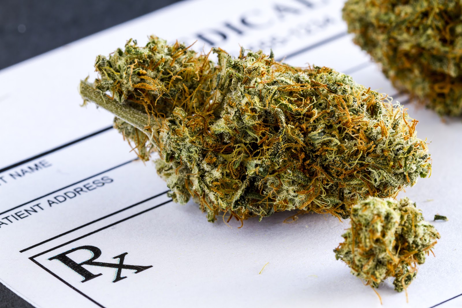 Insure The Weed — photo