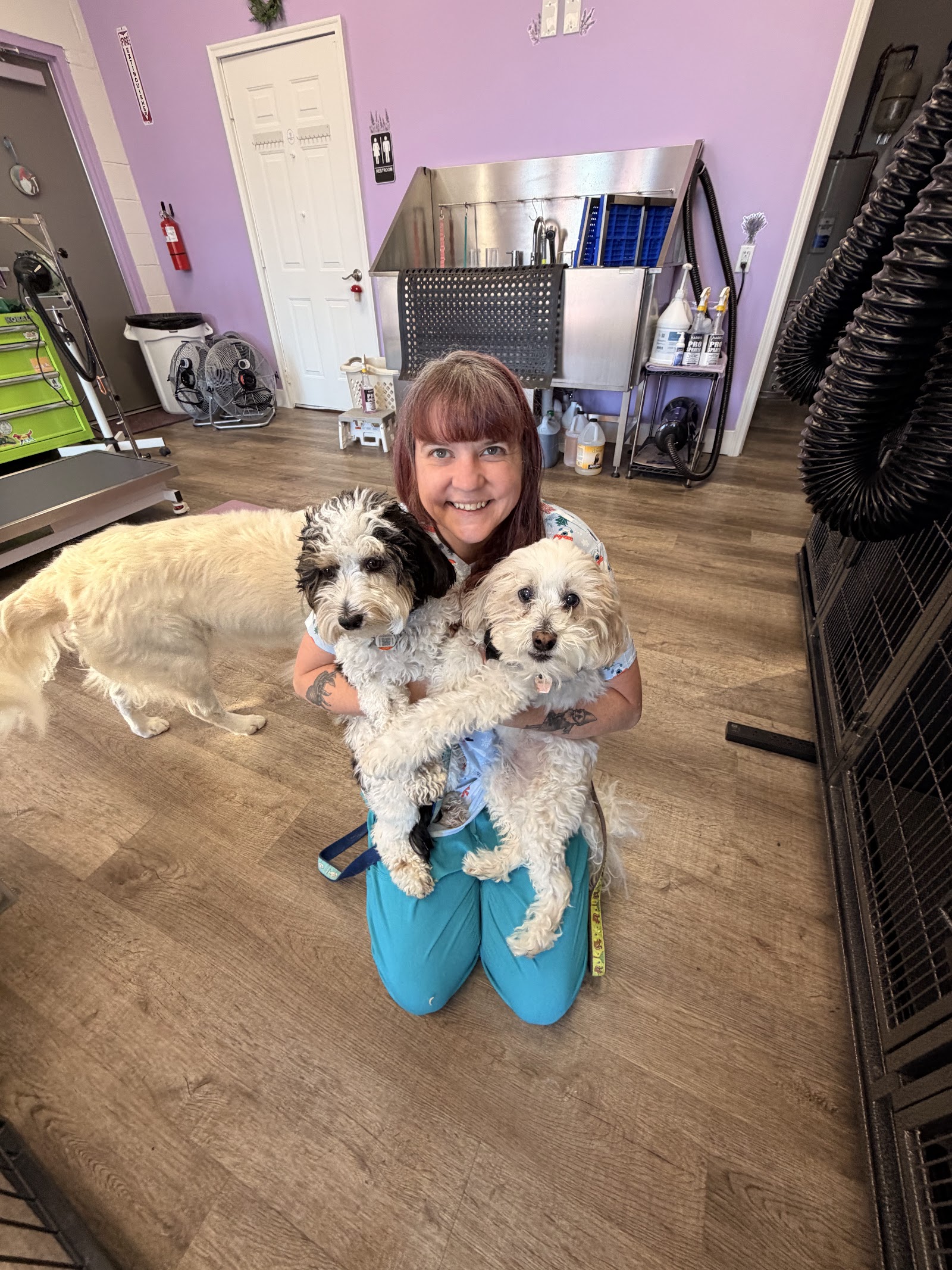 Lavender Grooms in Shelby Township