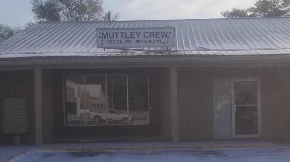 Muttley Crew Pet Salon, LLC — photo