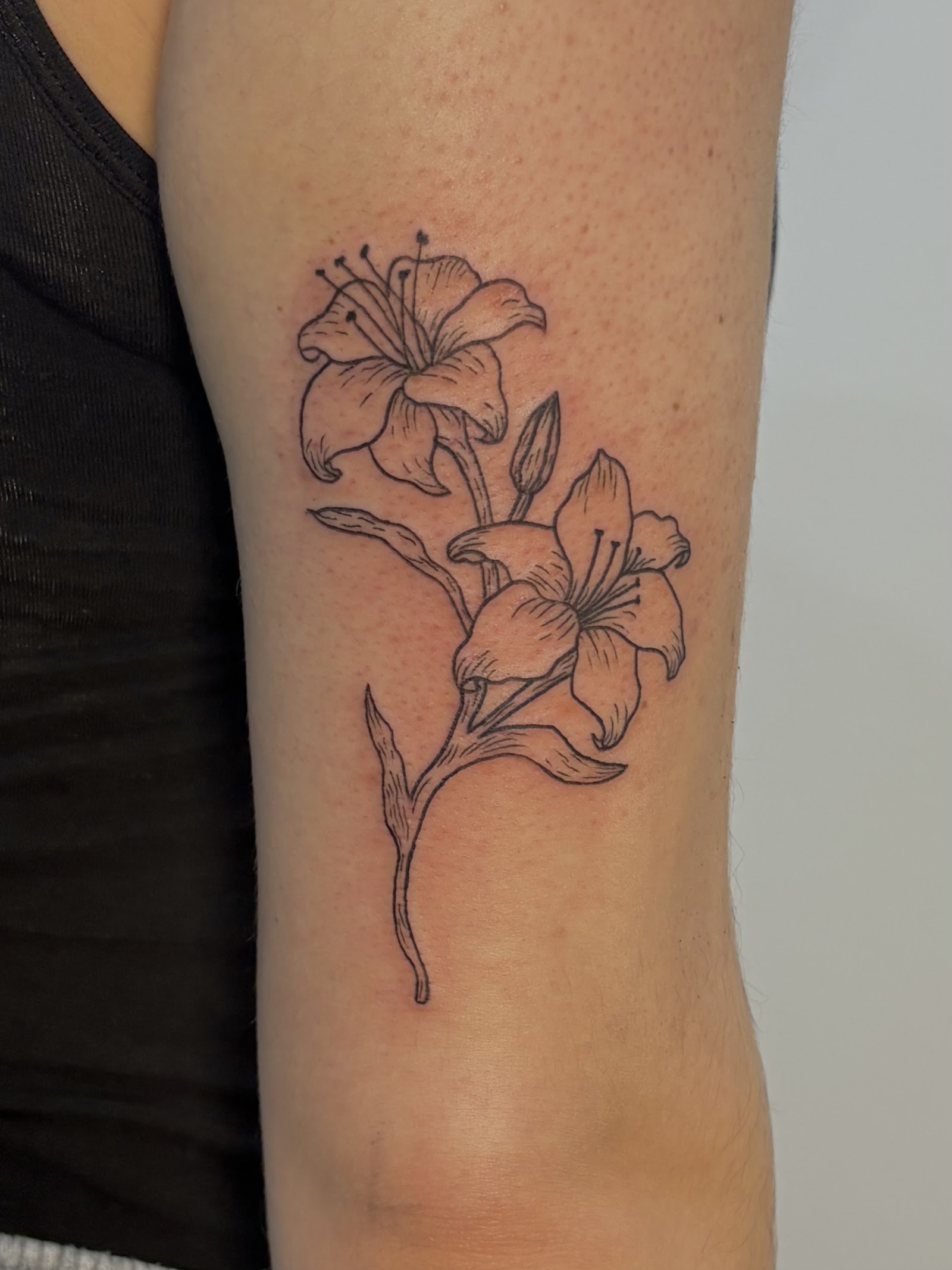 Pinstripe Tattoos — photo