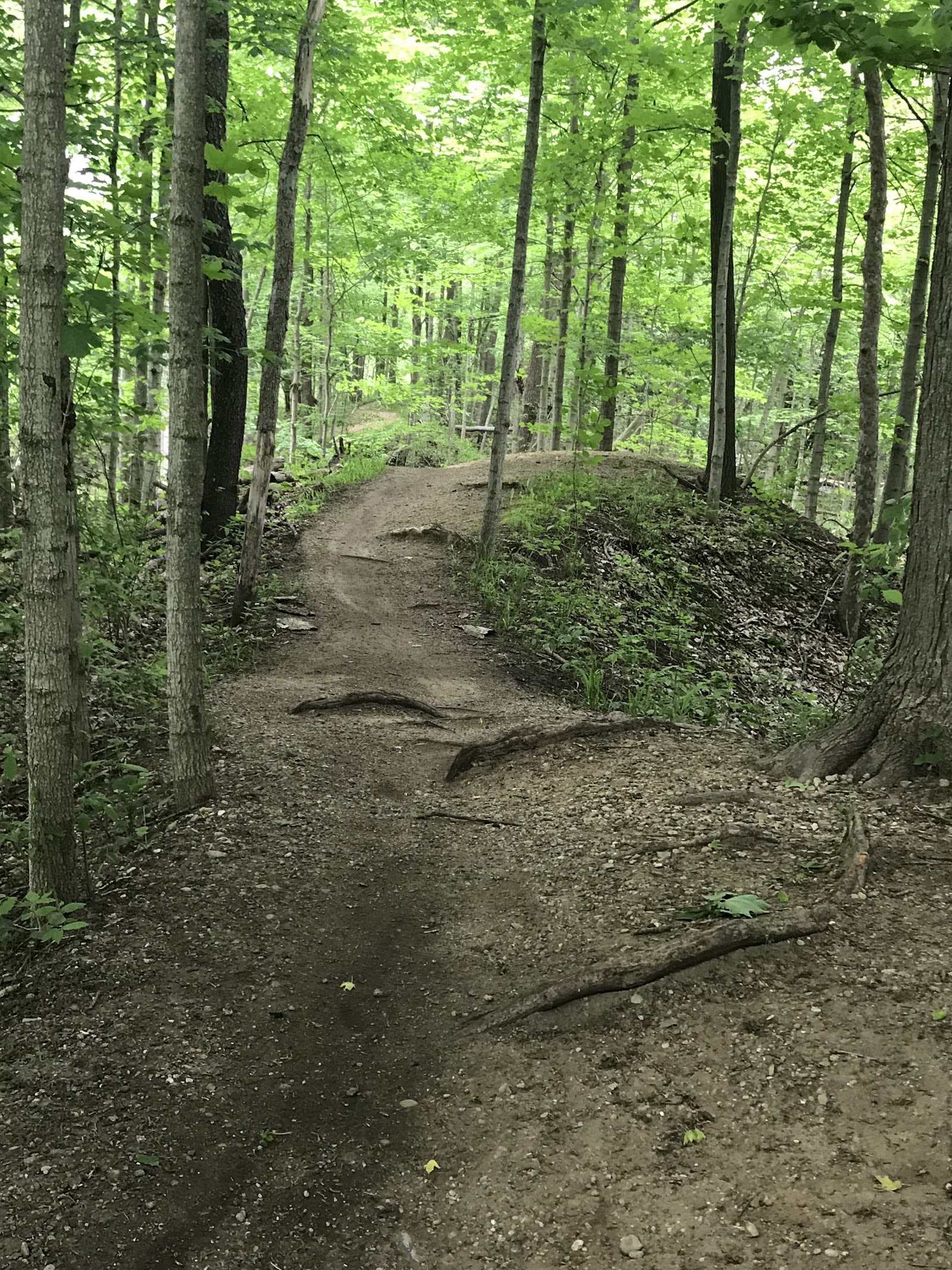 River Bends Park MTB Trail