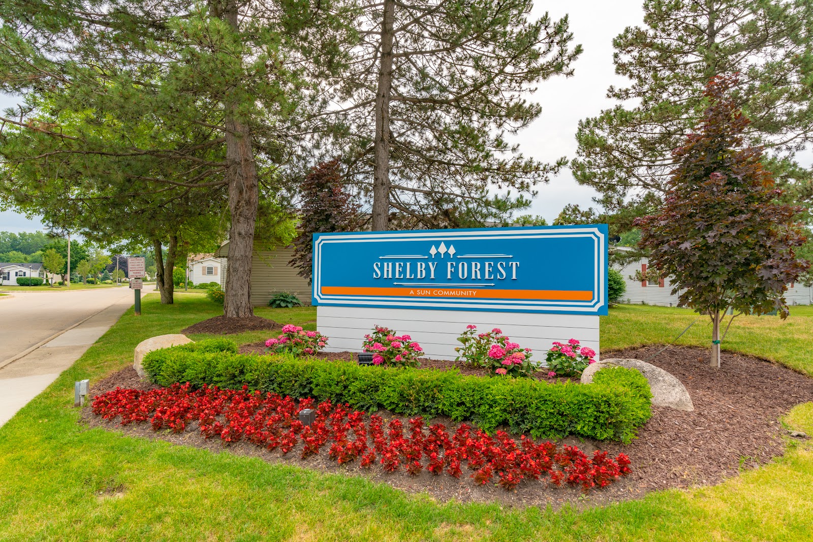Shelby Forest