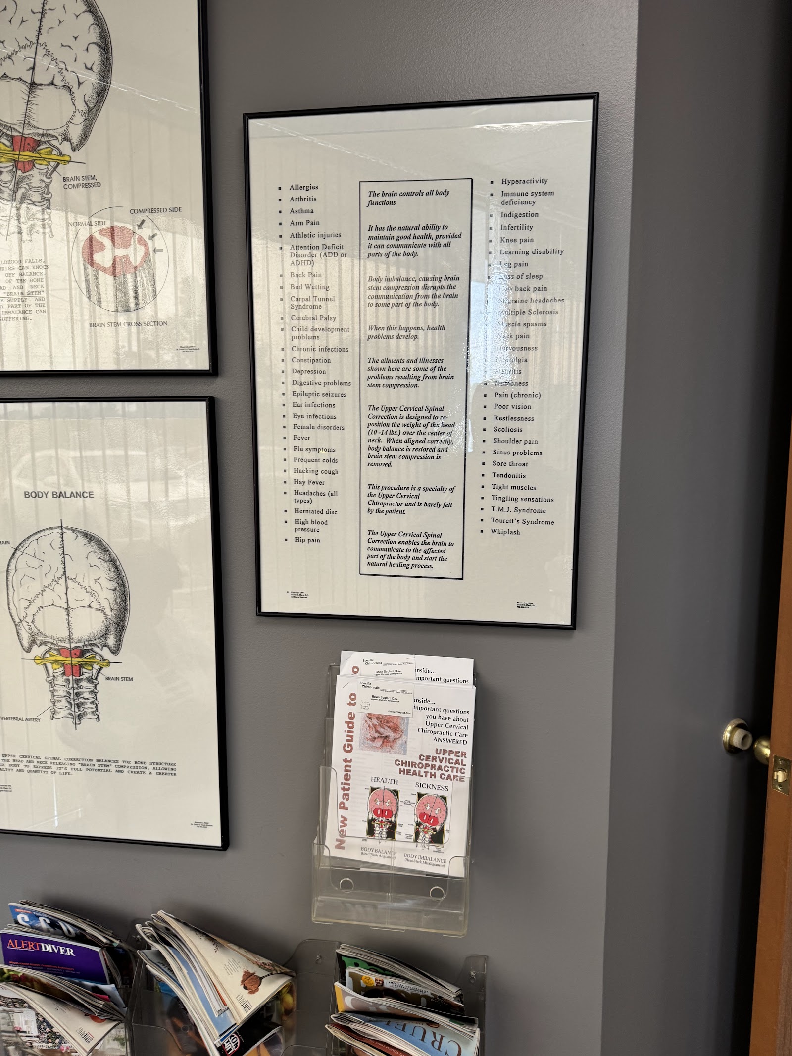 Specific Chiropractic in Shelby Township